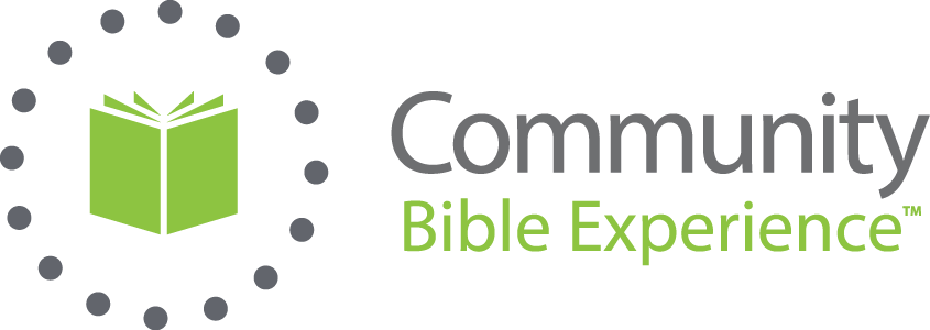 the bible experience: new testament
